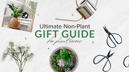 The Ultimate Non-Plant Gift Guide for Plant Lovers
