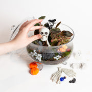 10/24 @ 6:00 Cemeterrariums (Spooky Terrariums) Workshop - Urban Sprouts