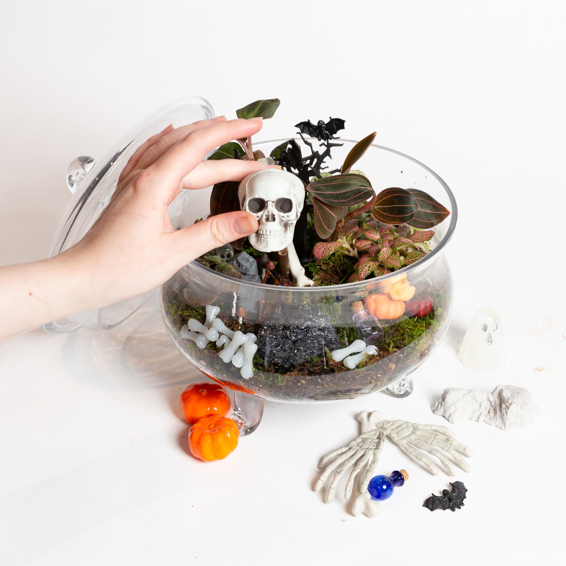 10/24 @ 6:00 Cemeterrariums (Spooky Terrariums) Workshop - Urban Sprouts