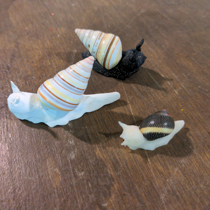 Clay snail - Urban Sprouts