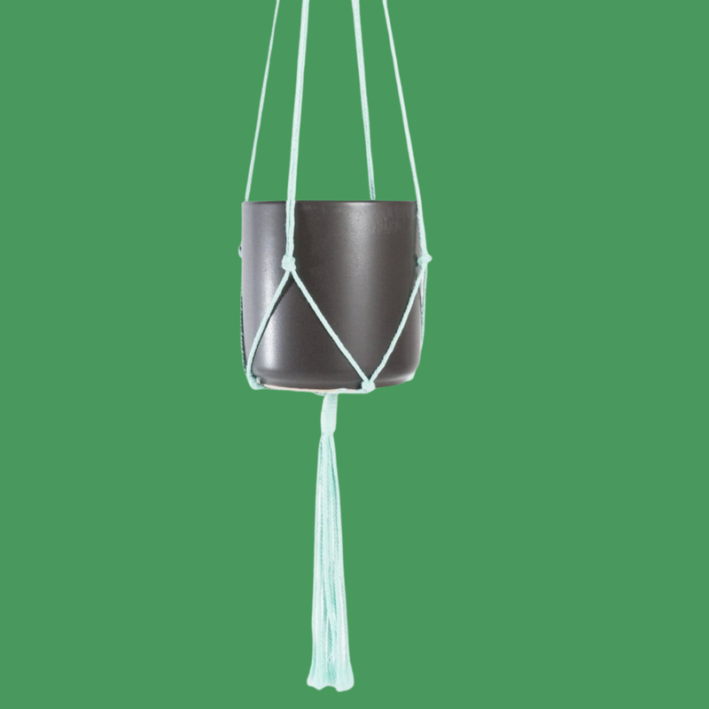Macrame Hanger - Aqua 36" - Urban Sprouts