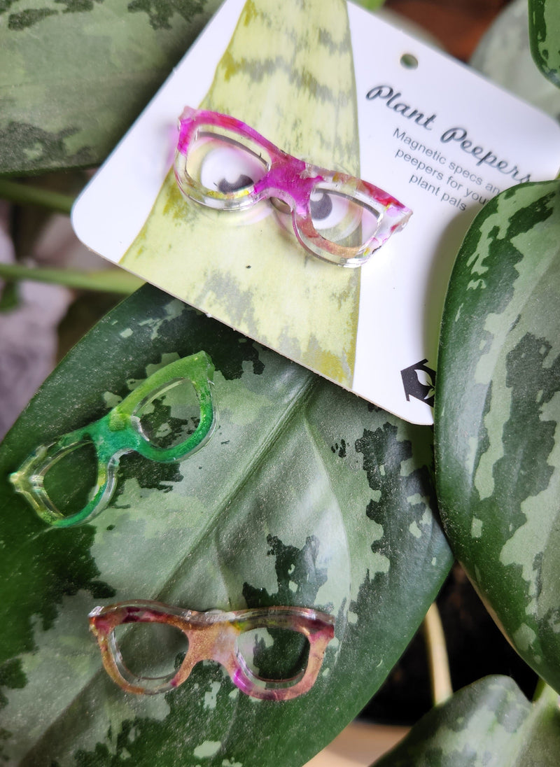 Plant Peepers - Magnetic accessories - Urban Sprouts