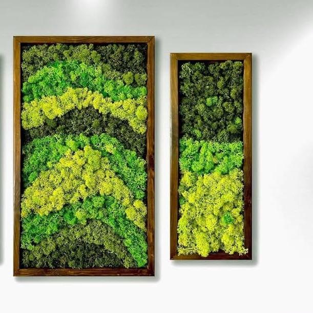 7/6 @ 2:00 No Maintenance Moss Frames Workshop - Urban Sprouts