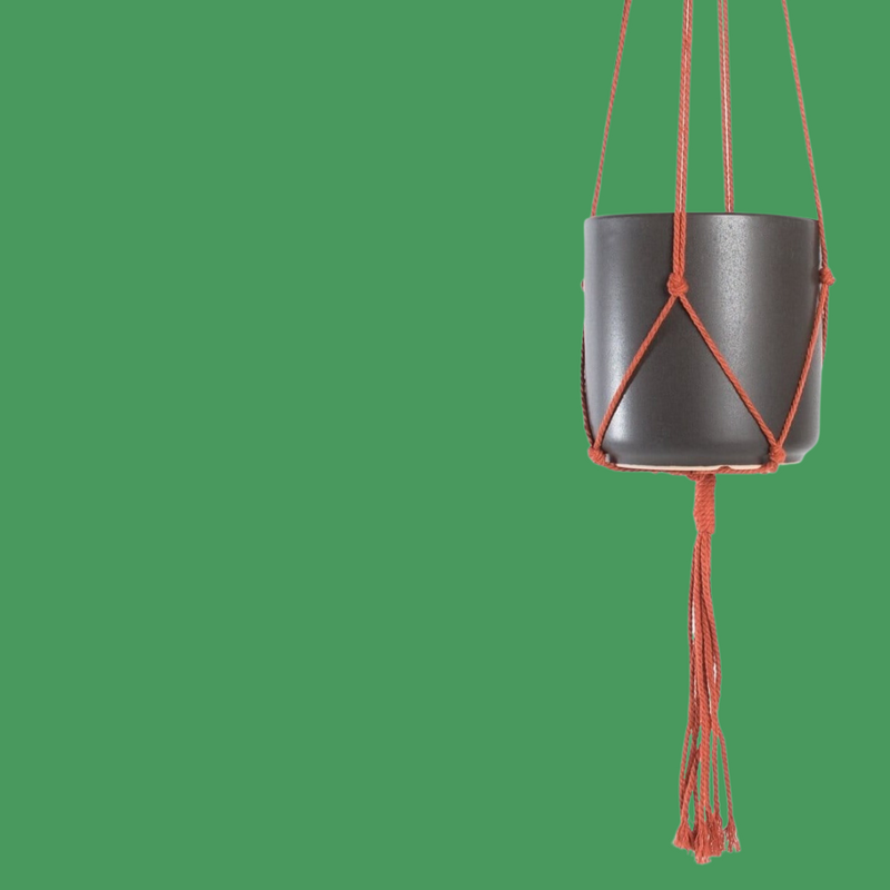Macrame Plant Hanger - Burnt Orange 36" - Urban Sprouts