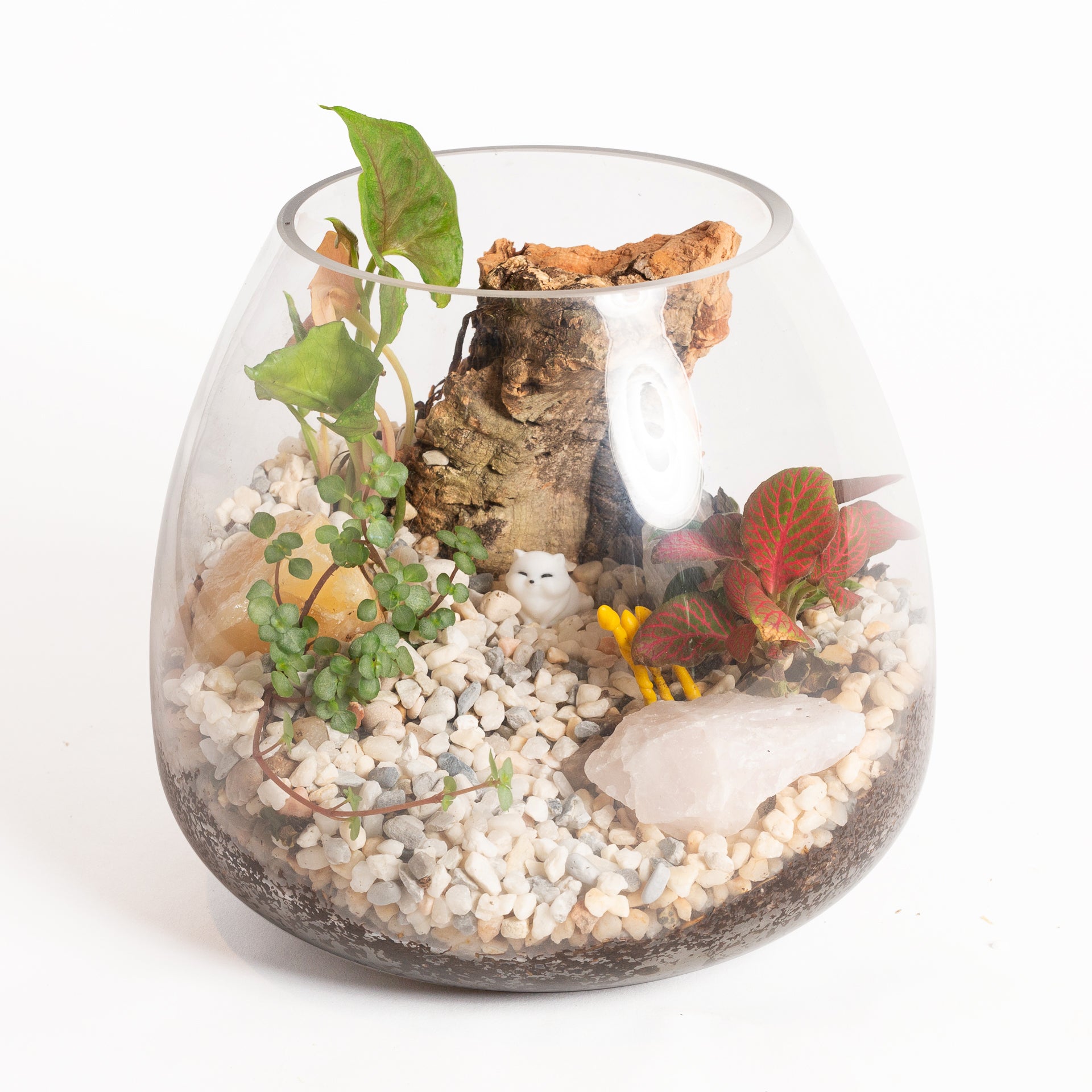 Activity Bar Reservation - Urban Sprouts