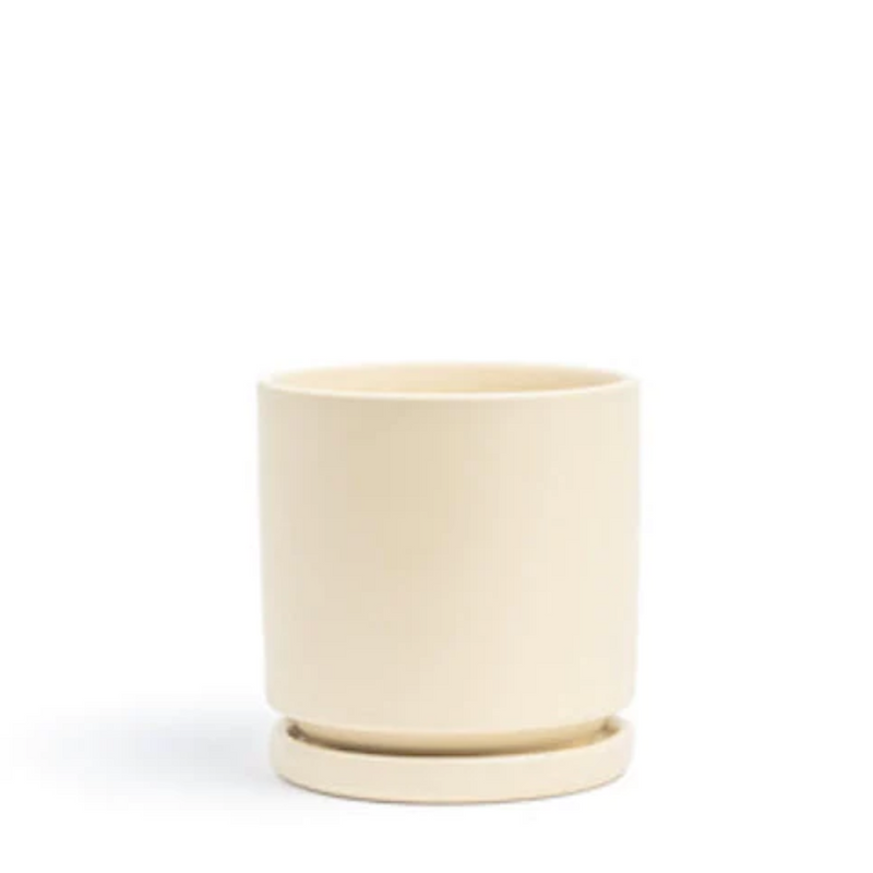 6.5" Almond Gemstone Planter Set - Urban Sprouts