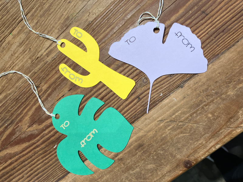 Assorted Gift Tag - Urban Sprouts