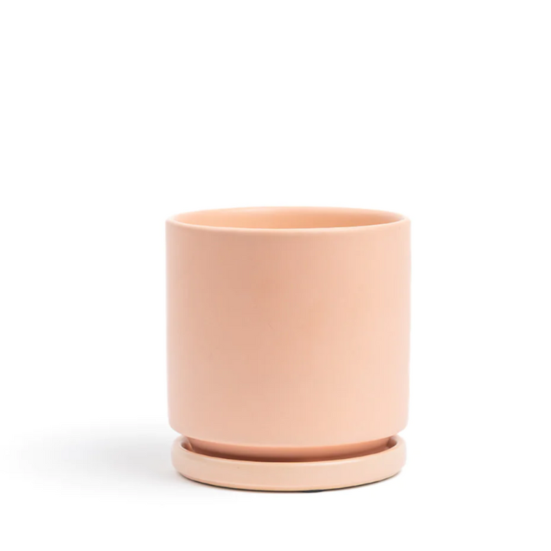 6.5" Blush Gemstone Planter Set - Urban Sprouts