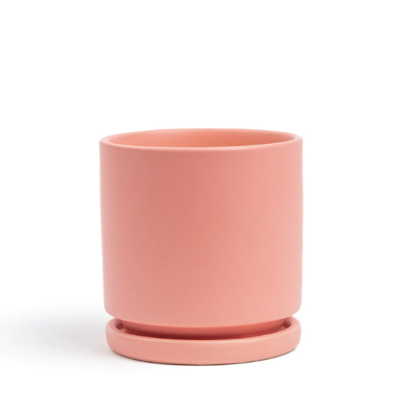 8.5" Bubblegum Gemstone Planter Set - Urban Sprouts