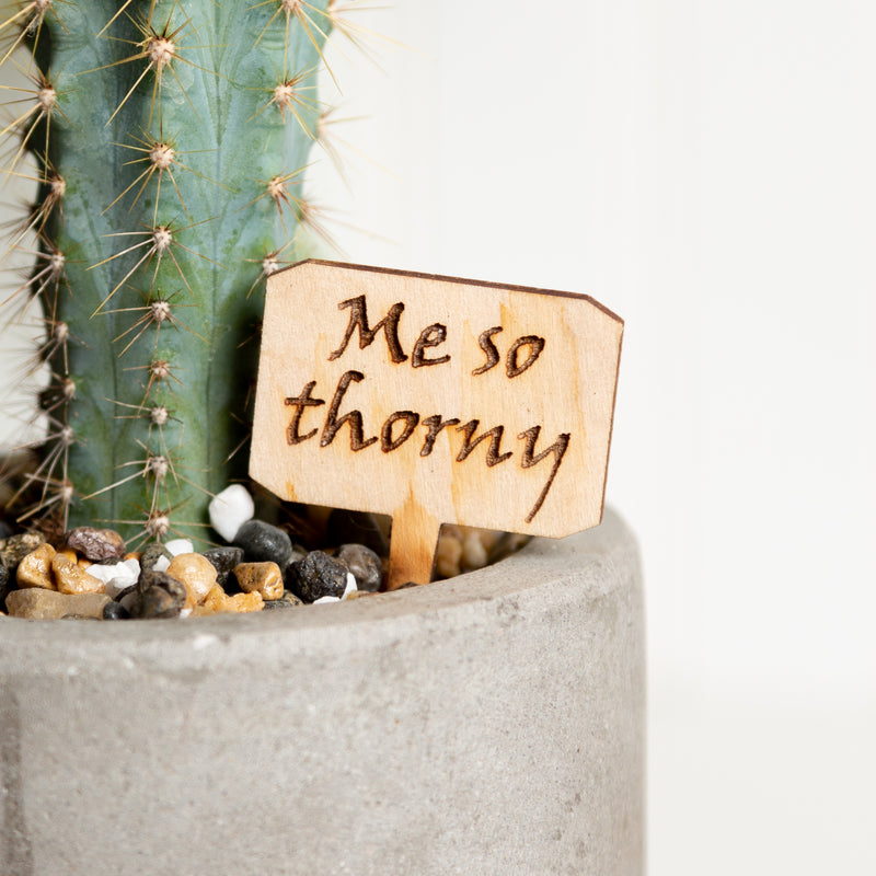 Mini Sign - Me So Thorny - Urban Sprouts