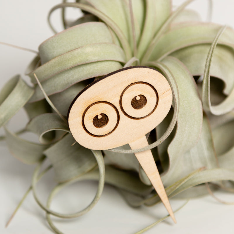 Mini Sign - Googly eyes - Urban Sprouts