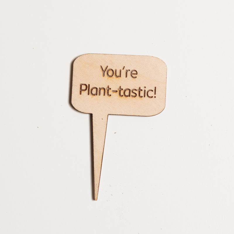Mini Sign - You're plant-tastic - Urban Sprouts
