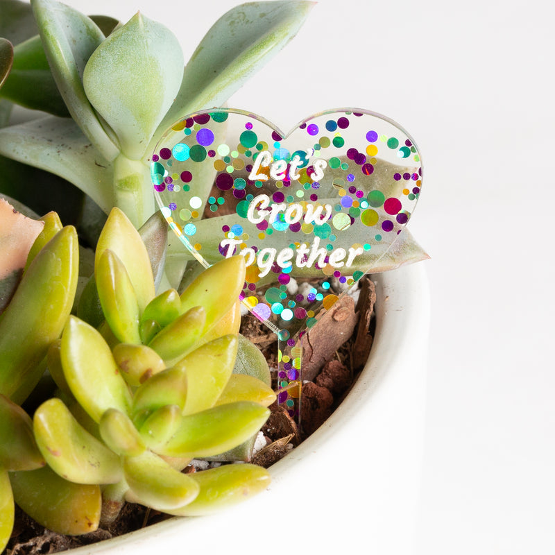 Mini Sign - Let's Grow Together - Confetti - Urban Sprouts