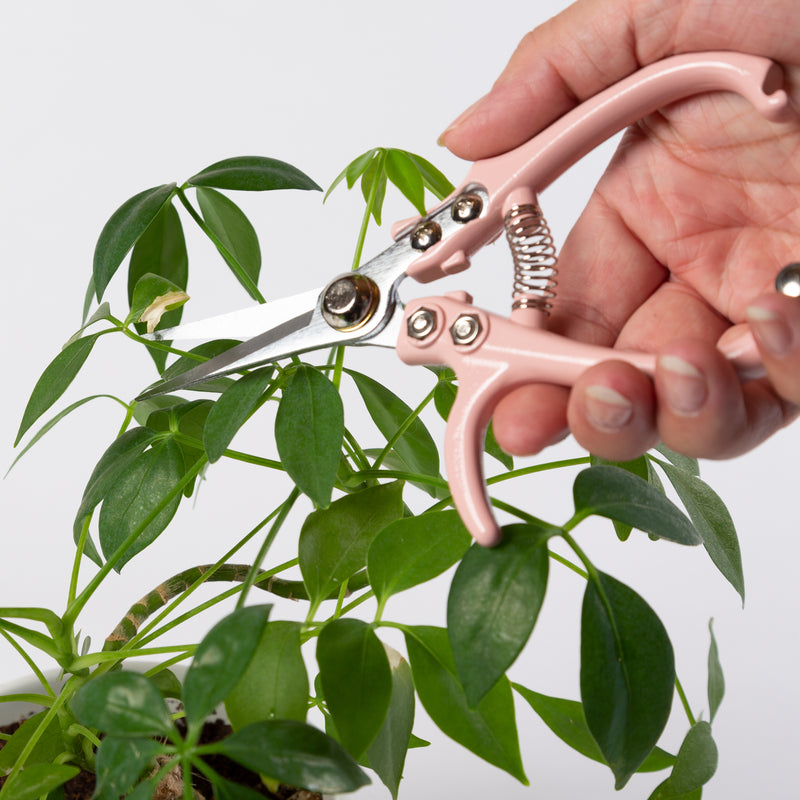 Ergonomic Plant Snips - Urban Sprouts