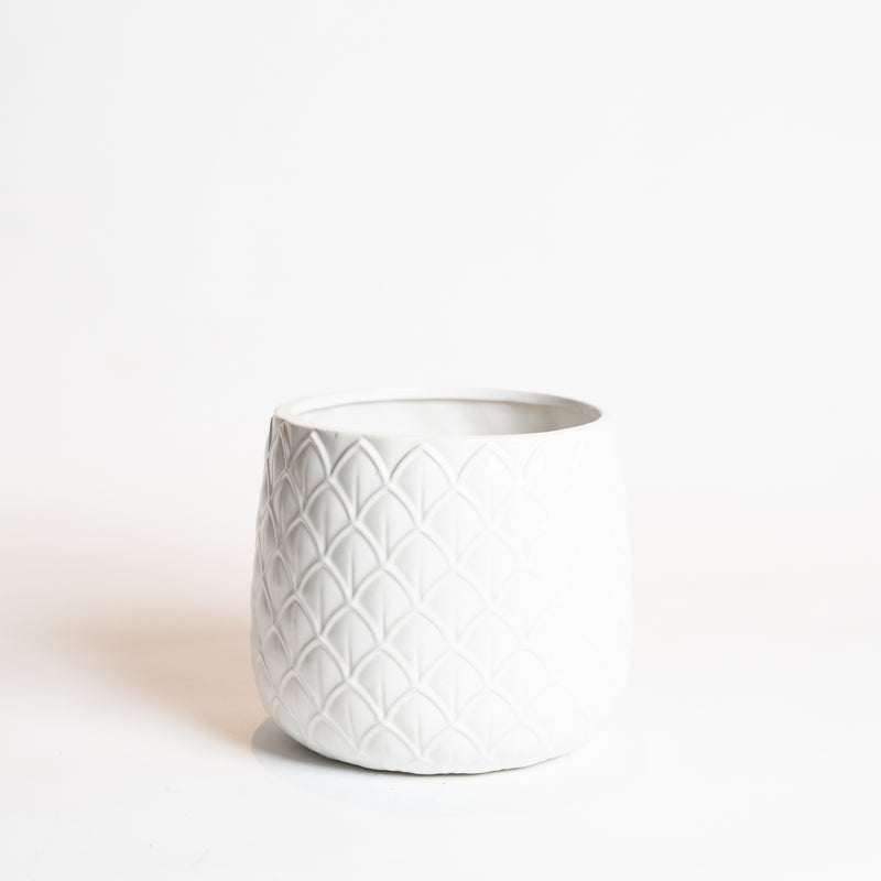5.5" White Scale Planter - Urban Sprouts