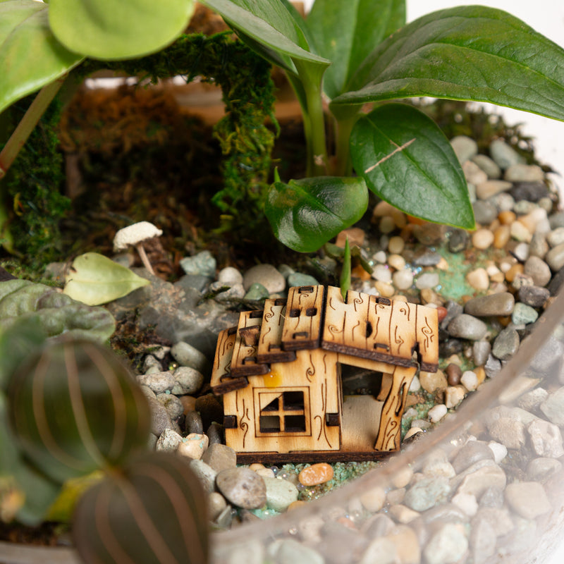 Terrarium Village House 4 - Urban Sprouts