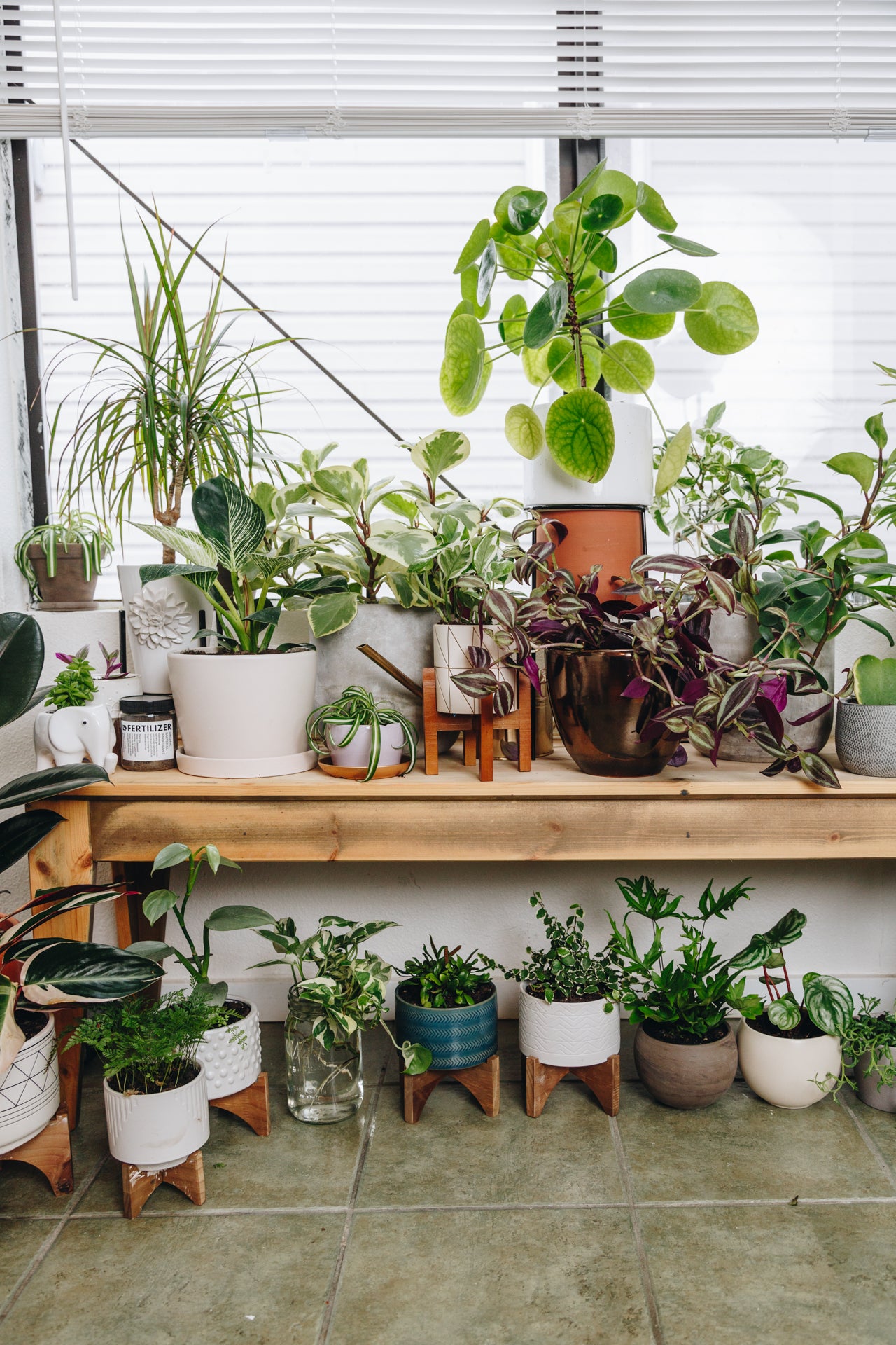 Urban Sprouts