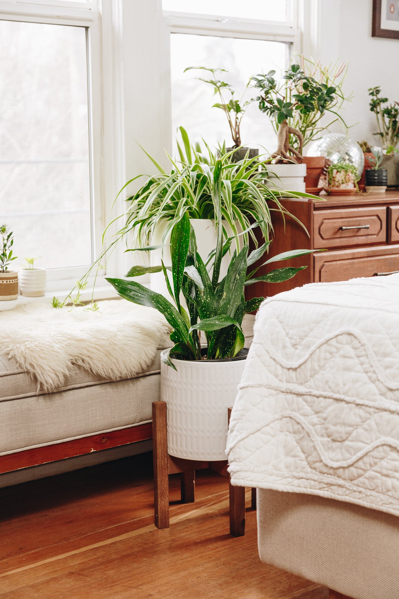 Urban Sprouts