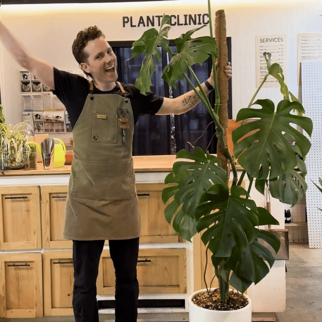 Urban Sprouts