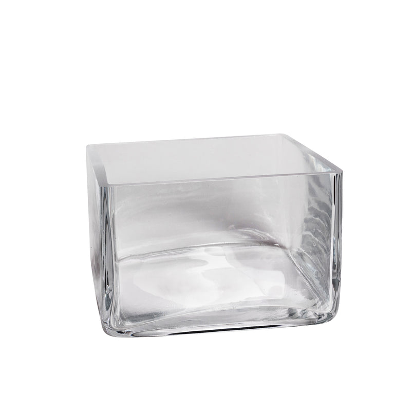 6" Low Square Terrarium - Urban Sprouts
