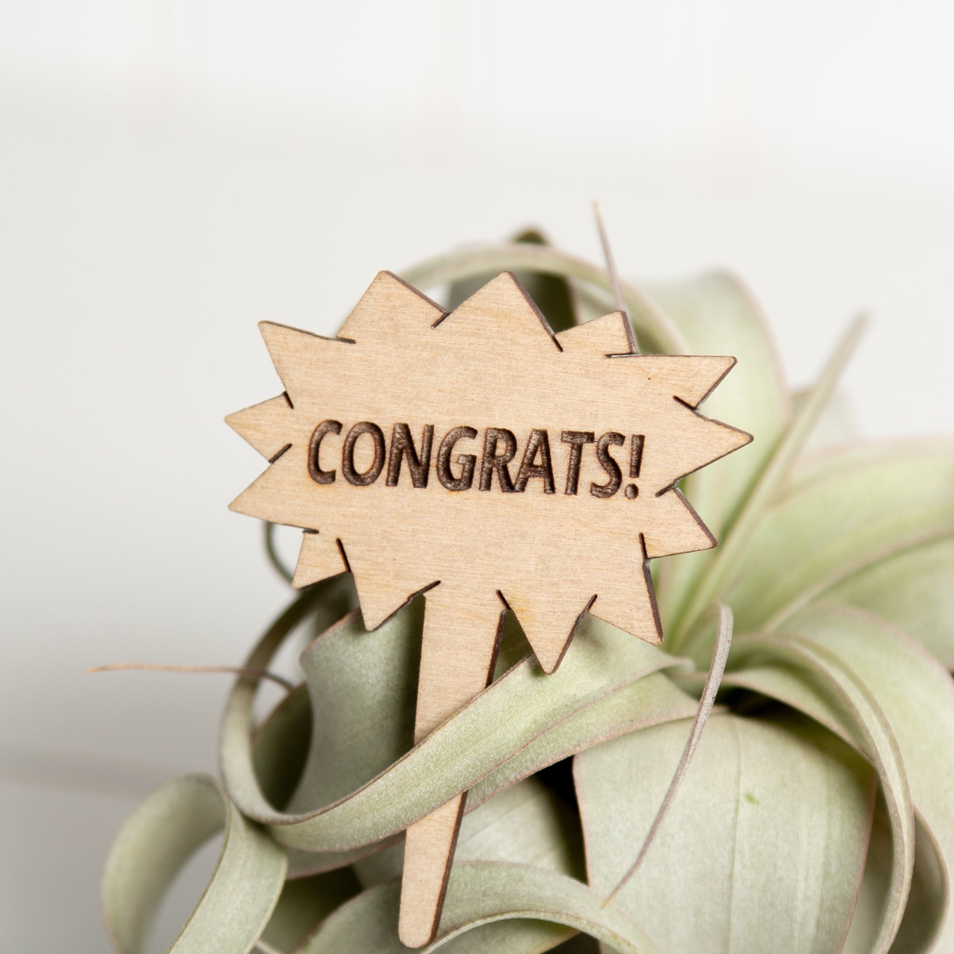 Mini Sign - Congrats - Urban Sprouts