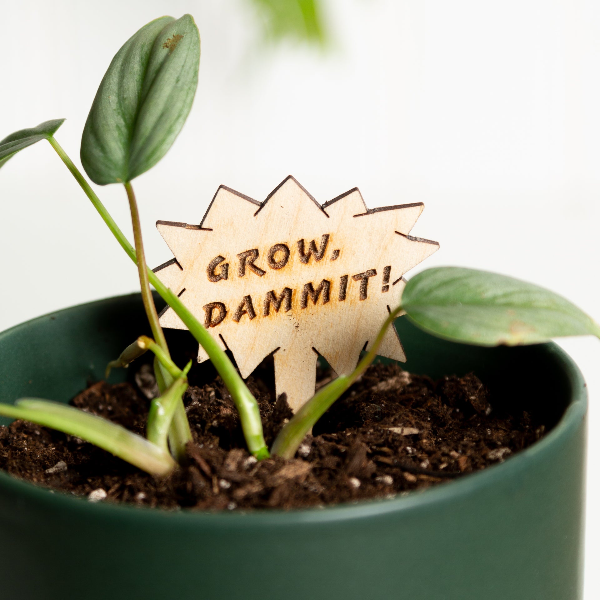 Mini Sign - Grow Dammit - Urban Sprouts