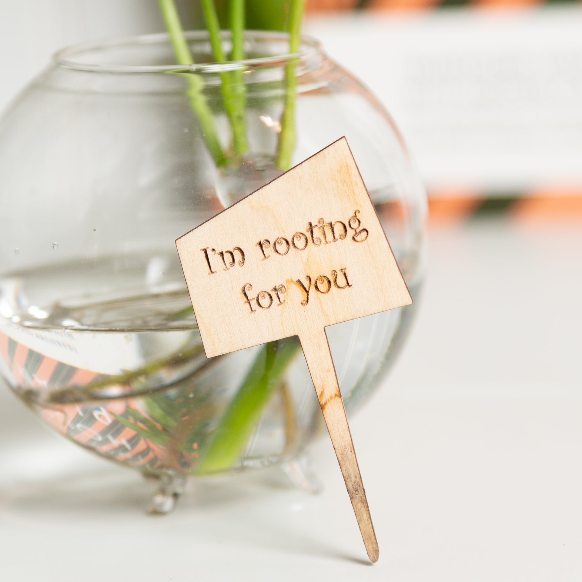 Mini Sign - I'm rooting for you - Urban Sprouts