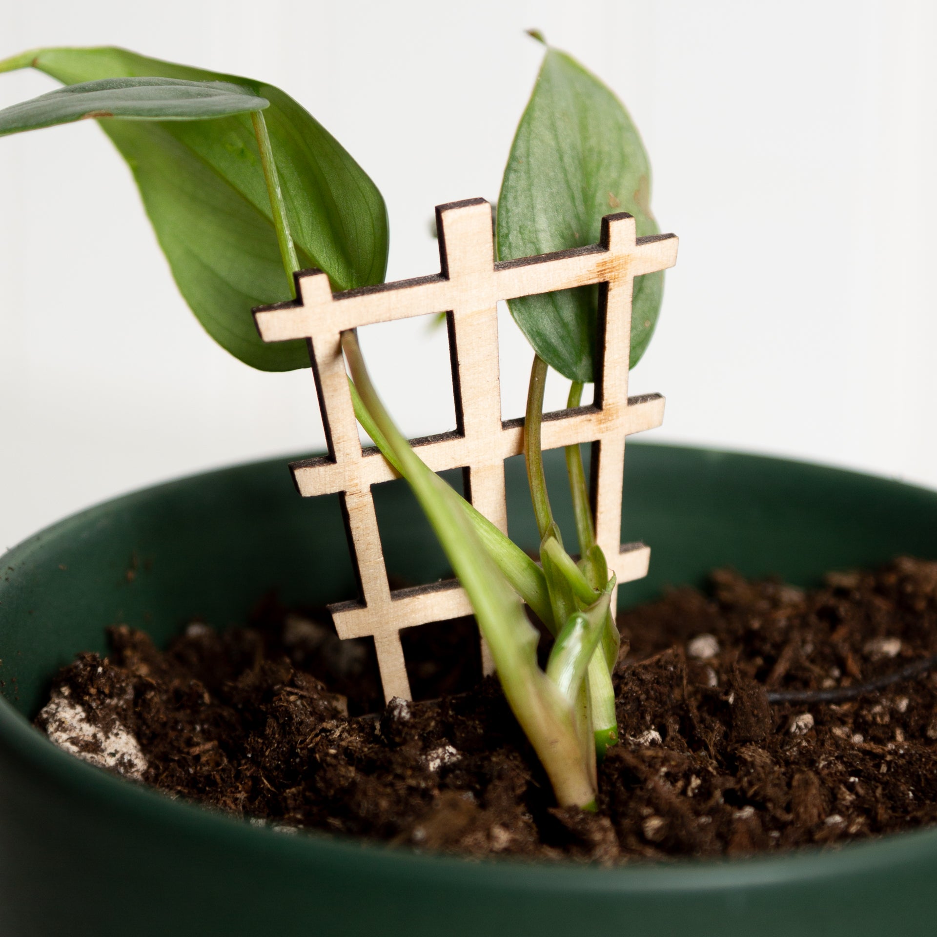 mini plant trellis Mini Sign