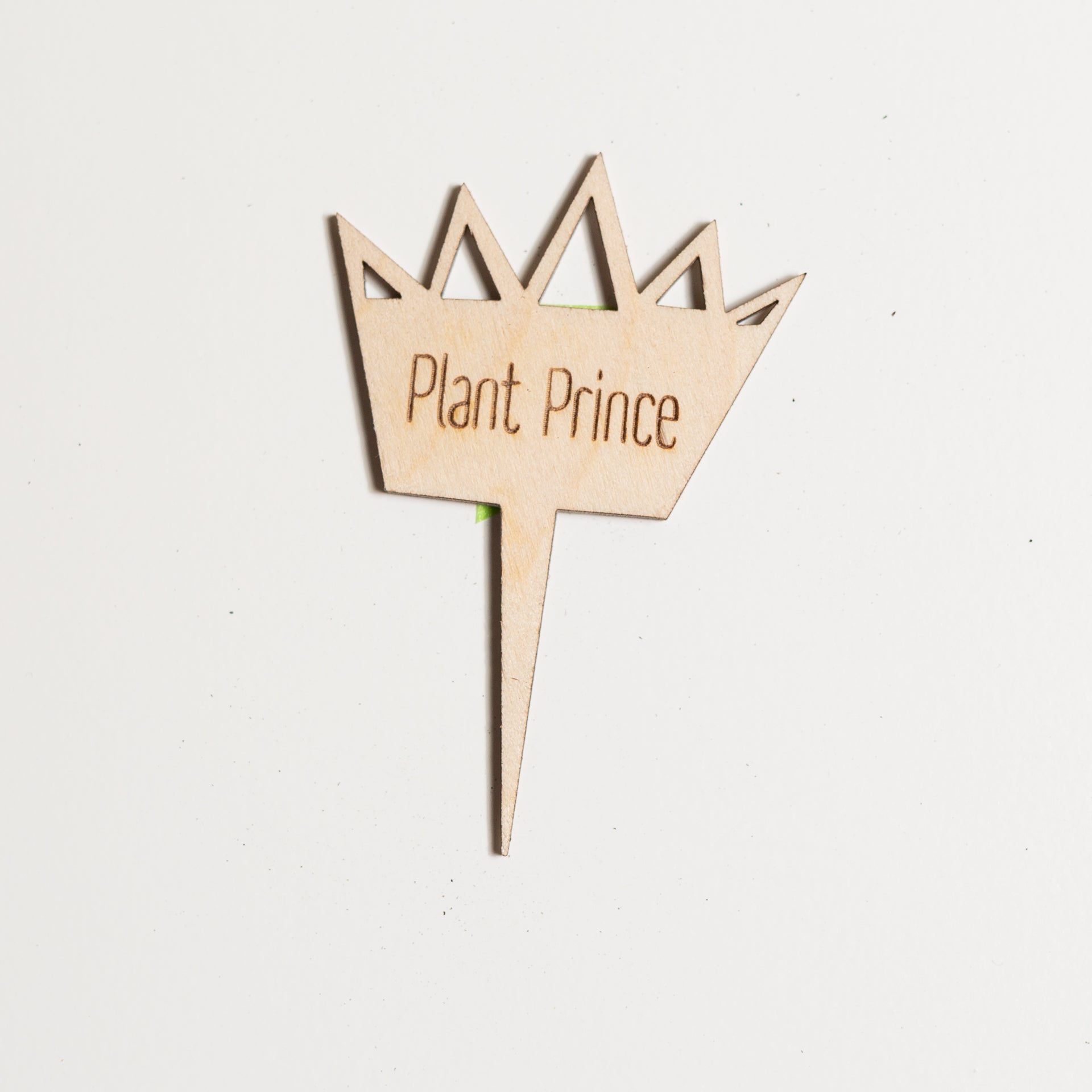 Mini Sign - Plant Prince - Urban Sprouts