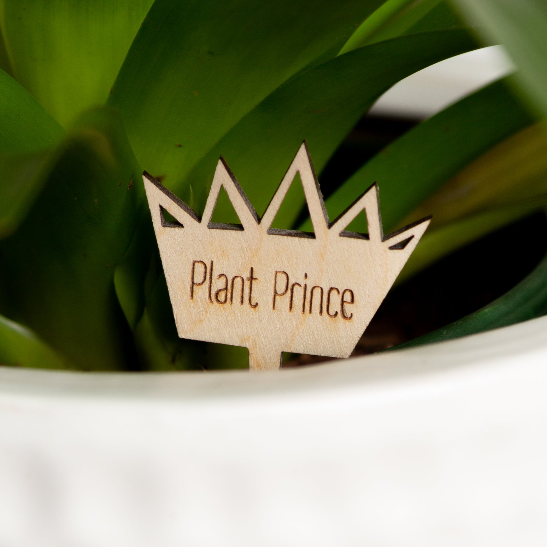 Mini Sign - Plant Prince - Urban Sprouts