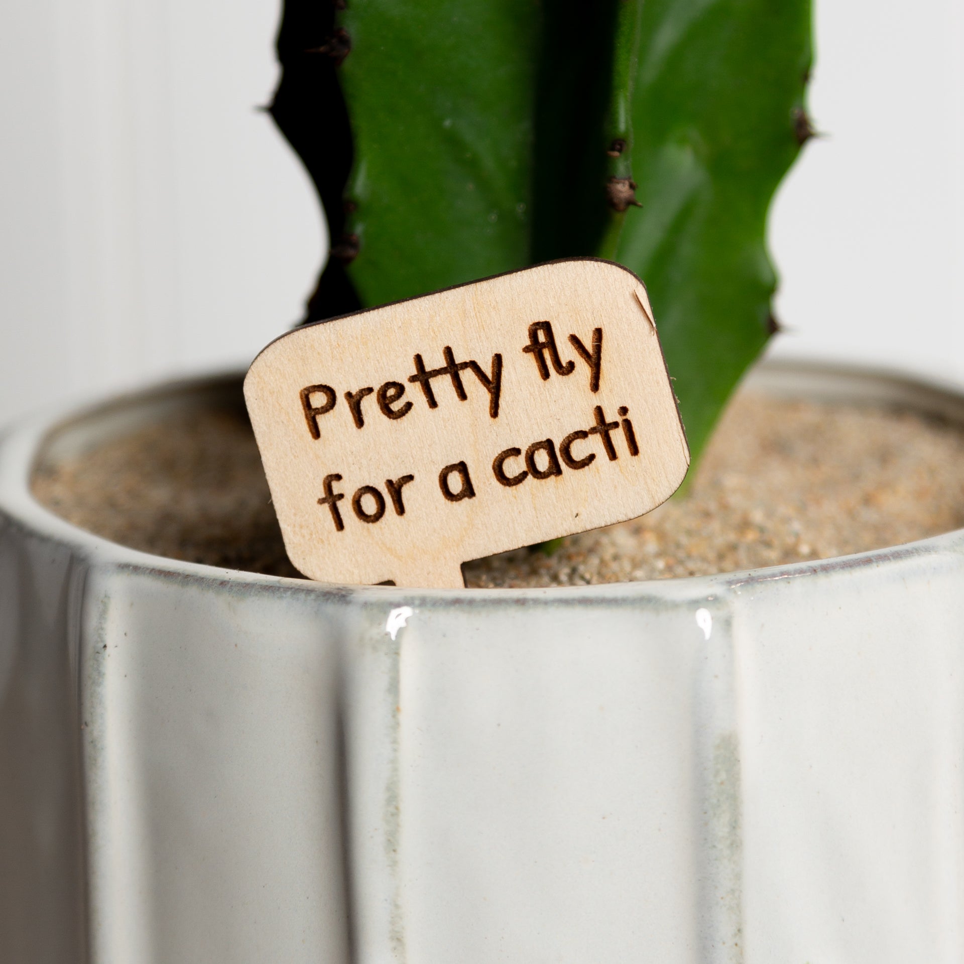 Mini Sign - Pretty fly for a cacti - Urban Sprouts