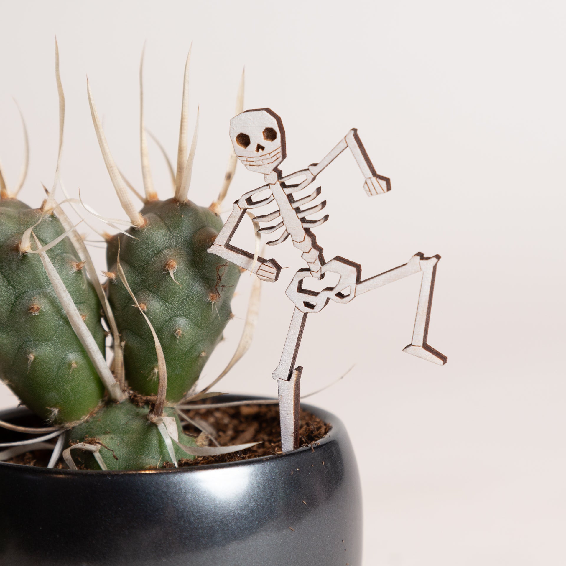 Mini Sign - Skeleton - Urban Sprouts