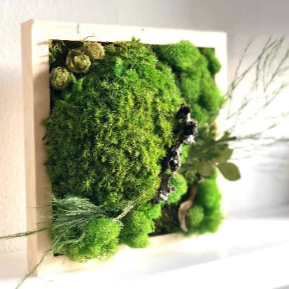 7/6 @ 2:00 No Maintenance Moss Frames Workshop - Urban Sprouts