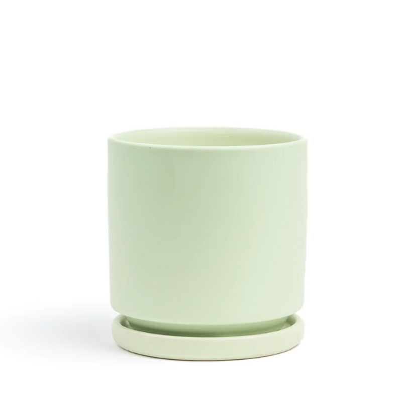 6.5" Sage Gemstone Planter Set - Urban Sprouts