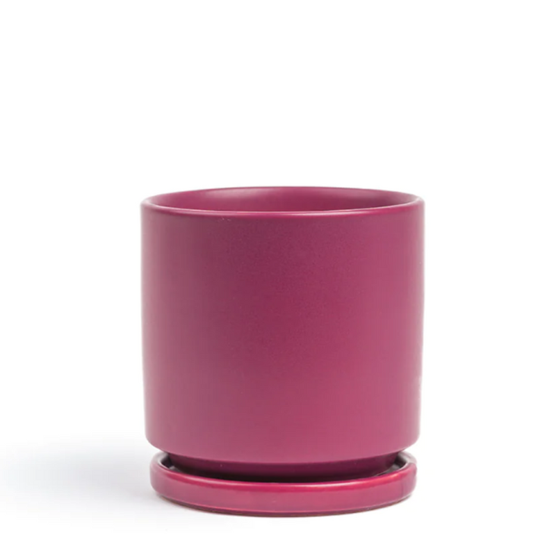 10.5" Sangria Gemstone Planter Set - Urban Sprouts