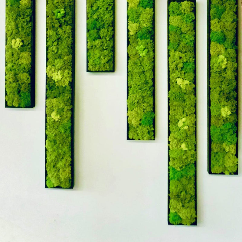 7/6 @ 2:00 No Maintenance Moss Frames Workshop - Urban Sprouts