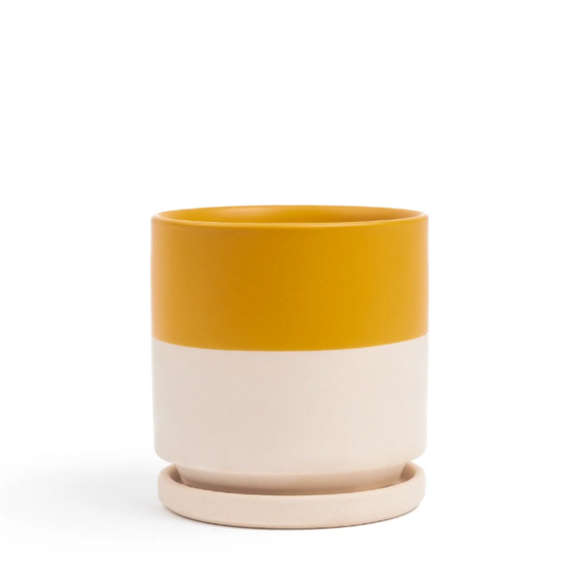 8.5" Top Mustard Gemstone Planter Set - Urban Sprouts
