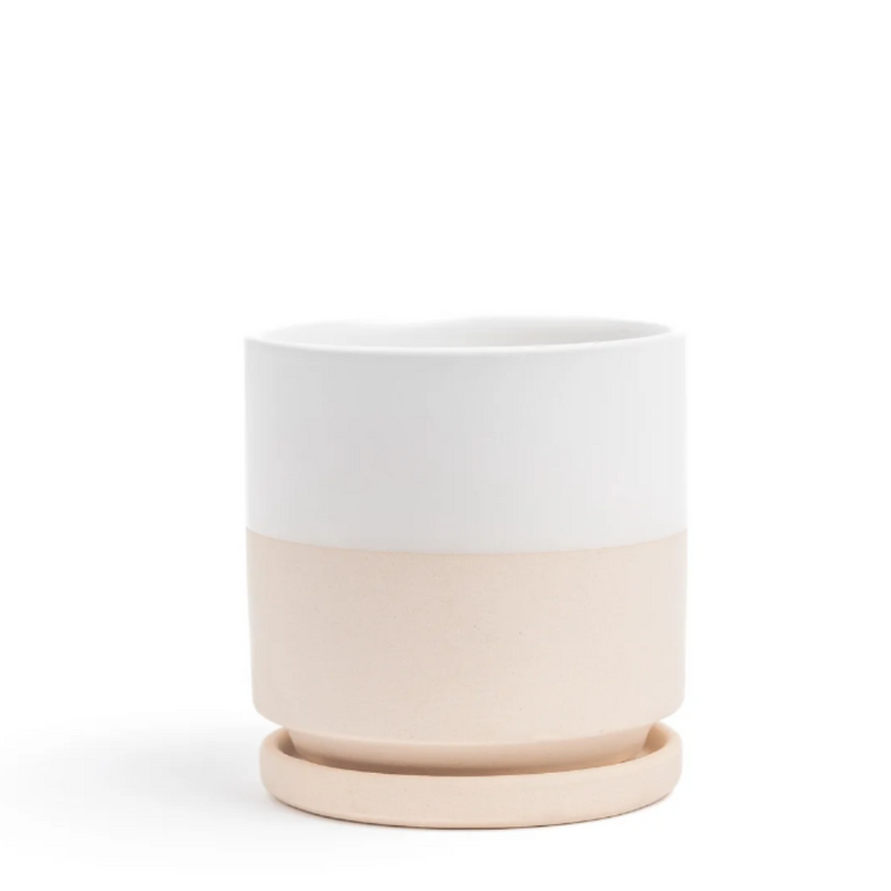 8.5" Top White Gemstone Planter Set - Urban Sprouts