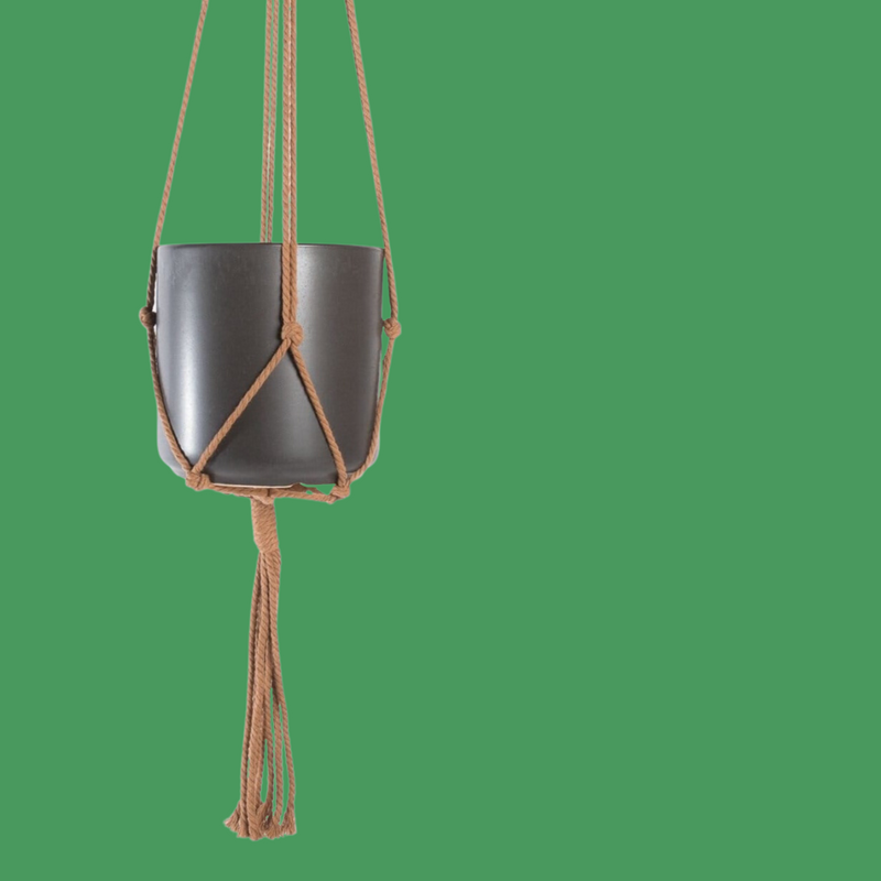 Macrame Plant Hanger - Coffee Brown 36" - Urban Sprouts