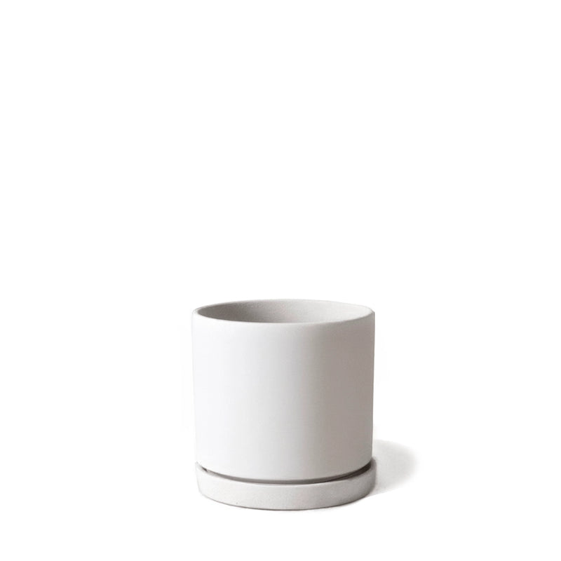 3.5" White Dojo Planter Set - Urban Sprouts