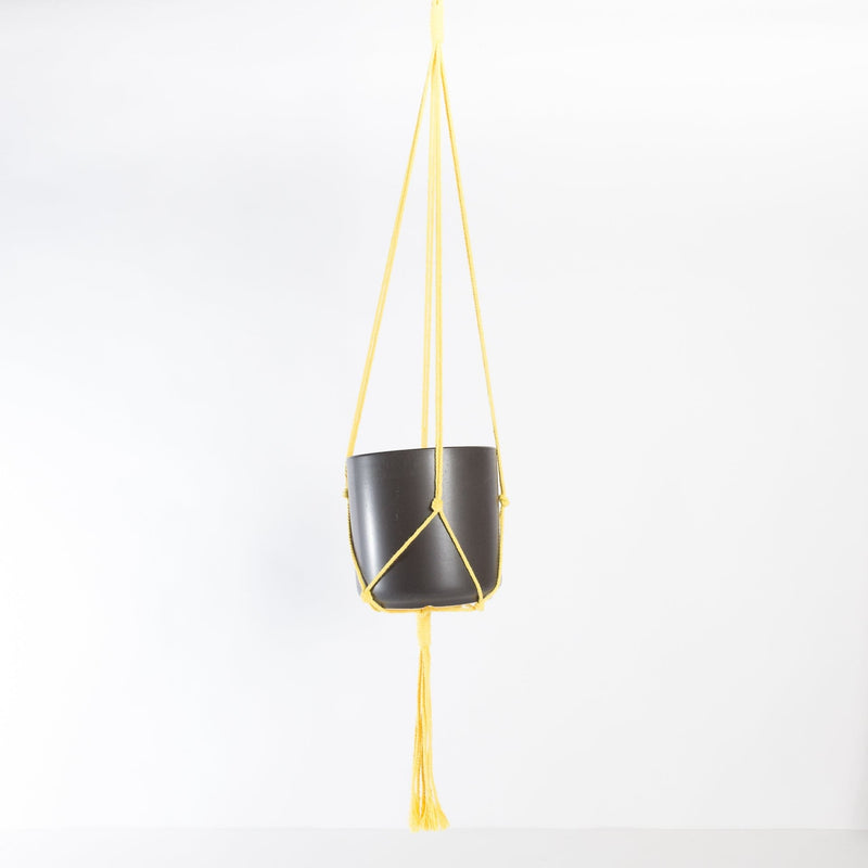 Macrame Plant Hanger - Classic Yellow 36" - Urban Sprouts