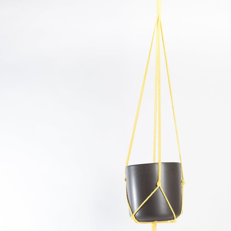 Kytras Keepers Hanger 36" Classic Yellow Minimalist Cotton Macrame Plant Hanger