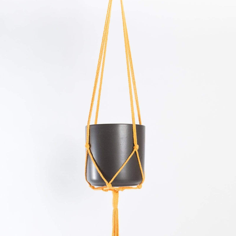 Macrame Plant Hanger - Mustard Yellow 36" - Urban Sprouts