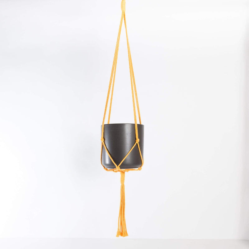 Kytras Keepers Hanger 36" Mustard Yellow Minimalist Cotton Macrame Plant Hanger