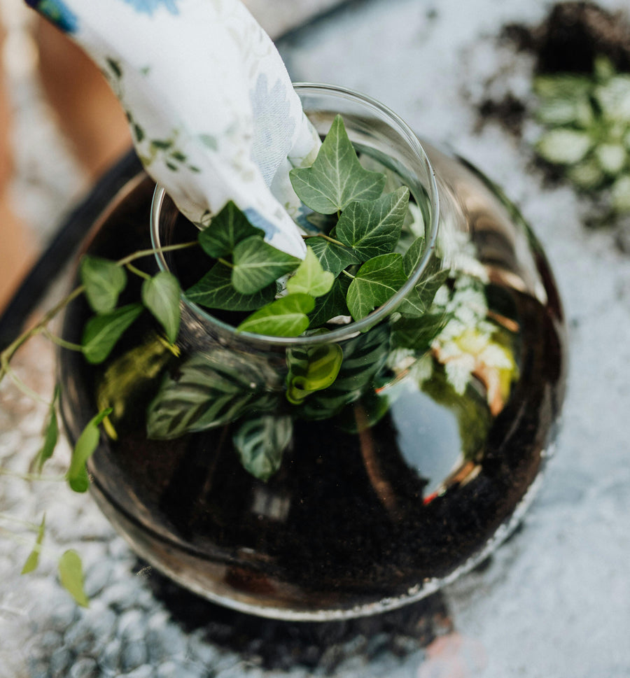 Urban Sprouts