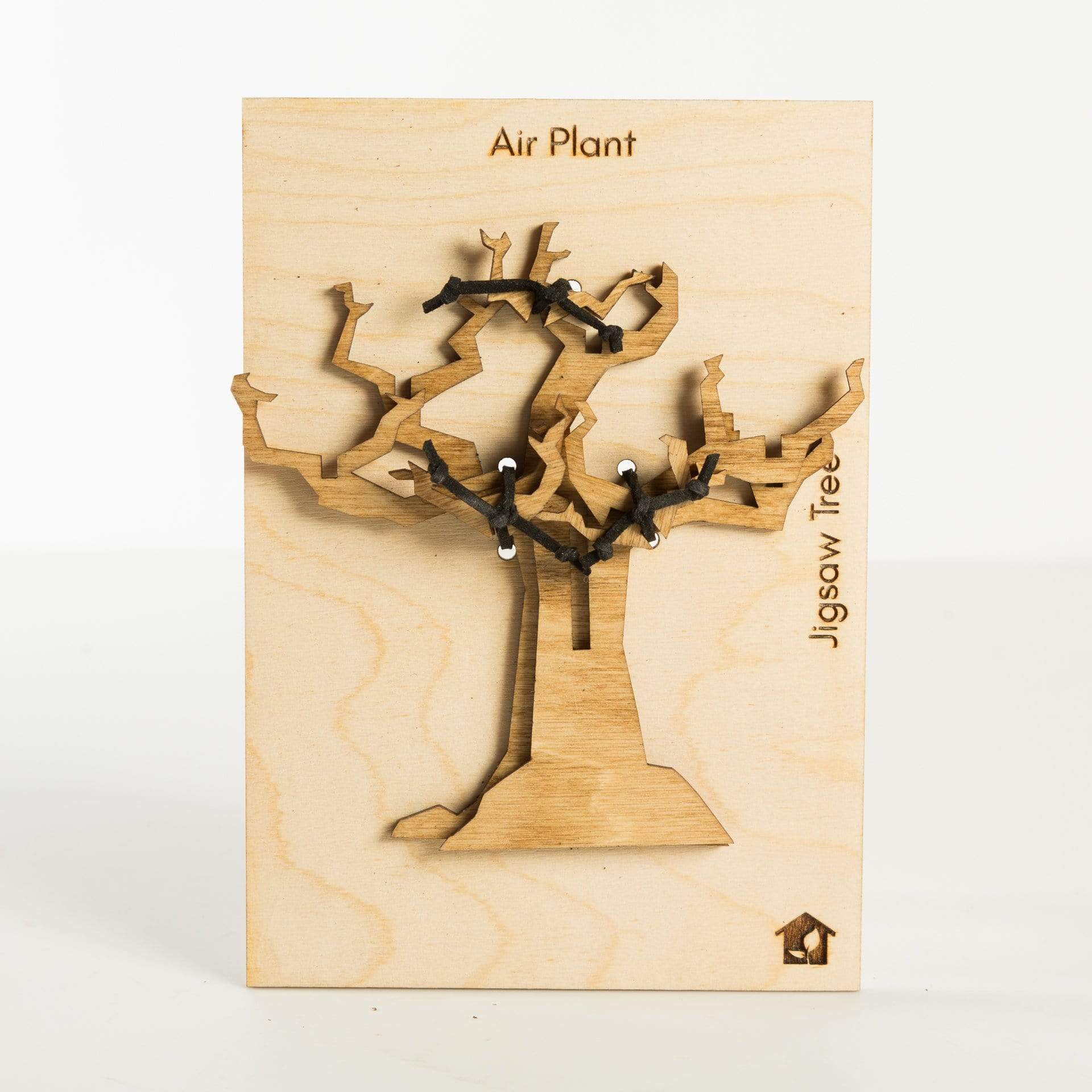 Urban Sprouts Production Pot Large - Multiple Air Plant Jigsaw Tree Display