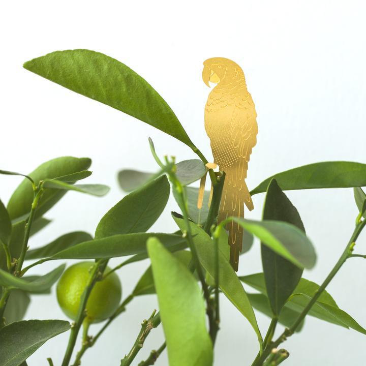 Another Studio for Design Ltd Plant Accessories Parrot Foliage Friends