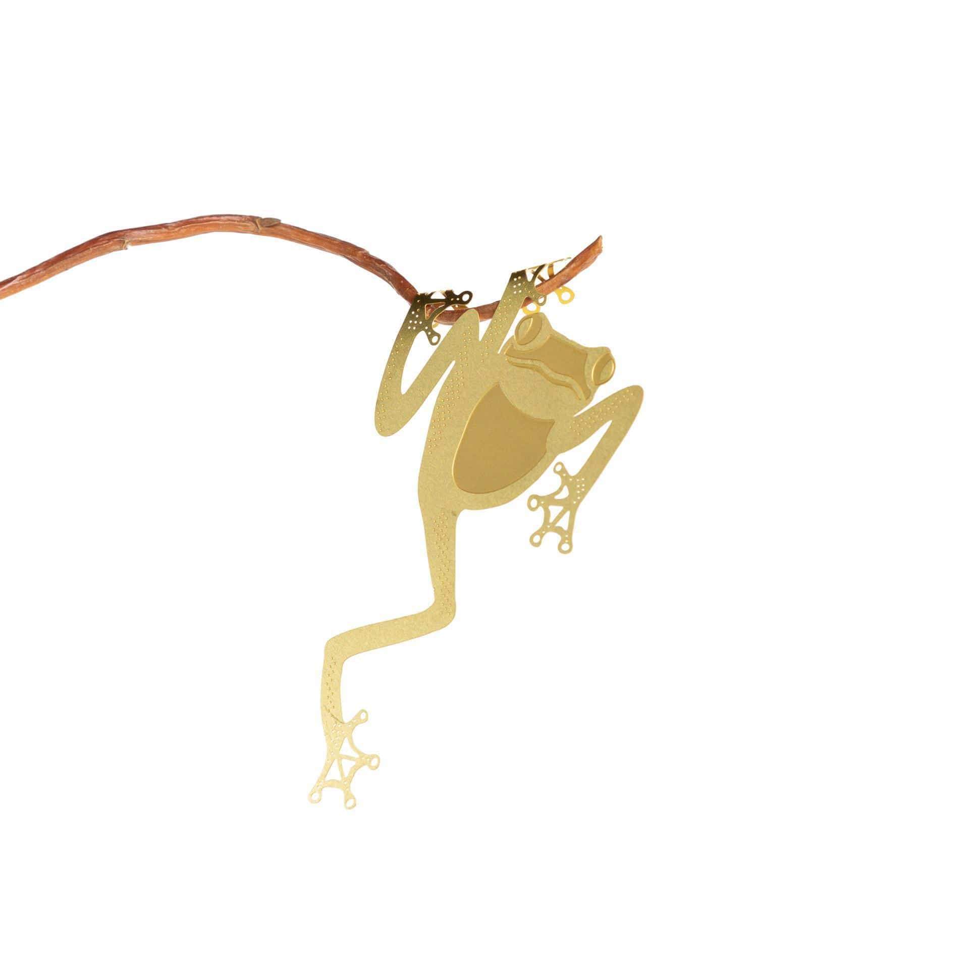 Another Studio for Design Ltd Plant Accessories Frog Foliage Friends