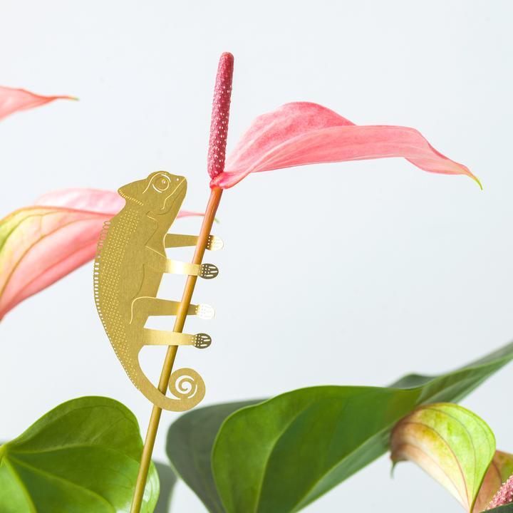Another Studio for Design Ltd Plant Accessories Chameleon Foliage Friends