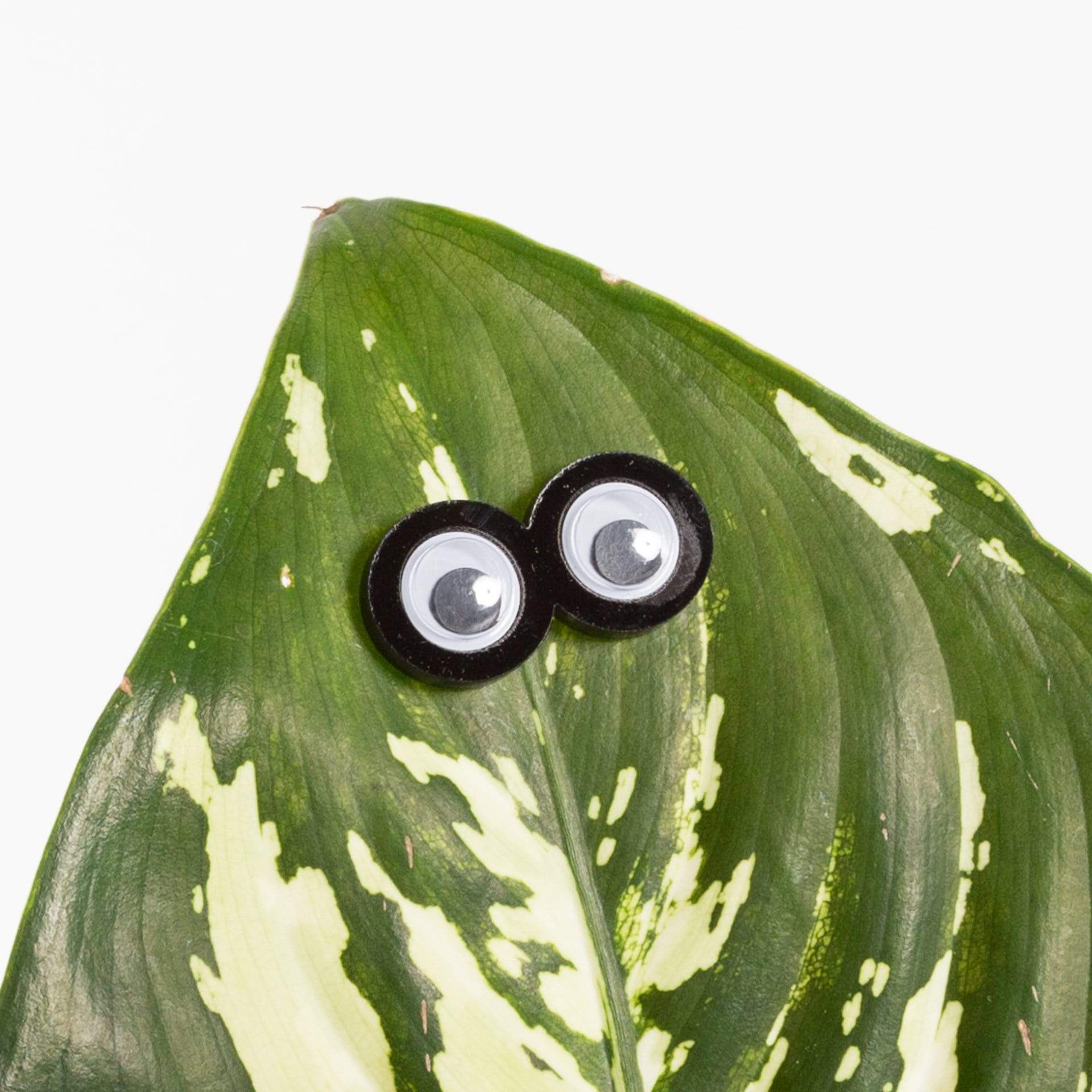 Urban Sprouts Production accessories Plant Peepers - Magnetic accessories